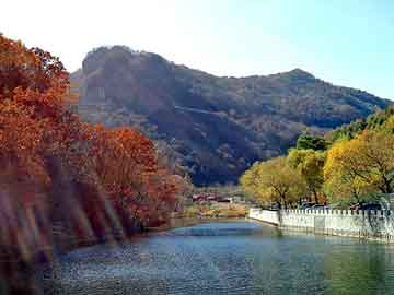 新澳天天开奖资料大全旅游团，永生纵横中文网